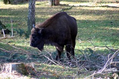 Killikus&reg; Fotographie